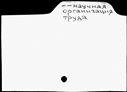 00813582.jpg