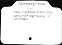 00285074.jpg