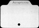 00404594.jpg