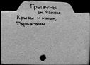 00657162.jpg