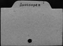 00681981.jpg