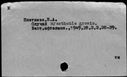 00566100.jpg
