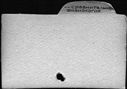 00798244.jpg