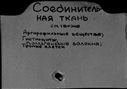 00803246.jpg