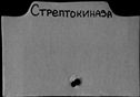 00876985.jpg