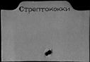 00876990.jpg