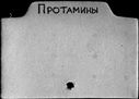 00843146.jpg