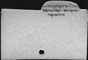00945925.jpg