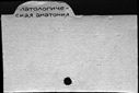 00924810.jpg