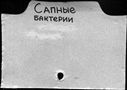 00935936.jpg