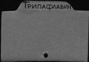 00898448.jpg