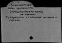 00910519.jpg