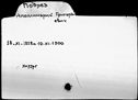 00016976.jpg
