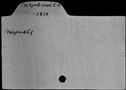 00017155.jpg