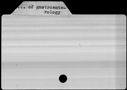 00006072.jpg