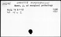 00040307.jpg