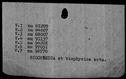 00010160.jpg