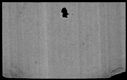 00010462.jpg
