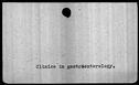 00018822.jpg