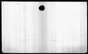 00019004.jpg