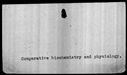 00019054.jpg