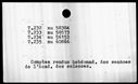 00019156.jpg