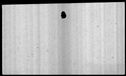 00019246.jpg