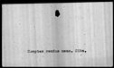 00019250.jpg