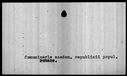 00019416.jpg