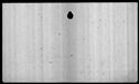 00019418.jpg