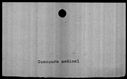 00019446.jpg
