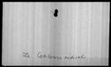 00019464.jpg
