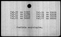 00019474.jpg