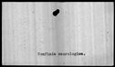 00019486.jpg