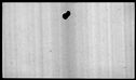 00019488.jpg