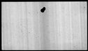 00019496.jpg