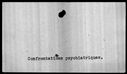 00019500.jpg