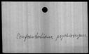 00019502.jpg