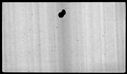 00019504.jpg