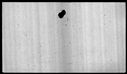 00019508.jpg