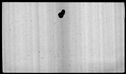 00019524.jpg