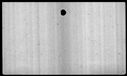 00019528.jpg