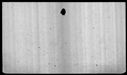 00019536.jpg