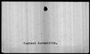 00019540.jpg
