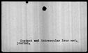 00019546.jpg