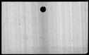 00019654.jpg