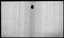 00019696.jpg