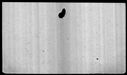 00019736.jpg