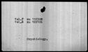 00019738.jpg