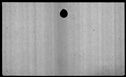 00019778.jpg